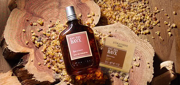 Loccitane discount mens fragrance